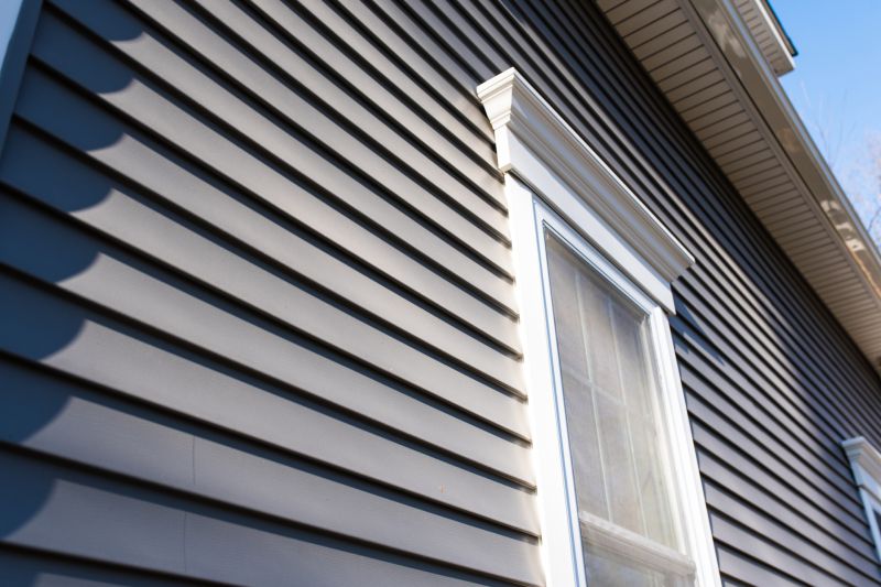Vinyl Cladding Installation in Meriwether County, GA